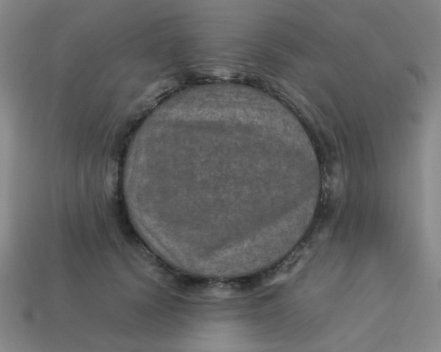 X0000113600656200910091521