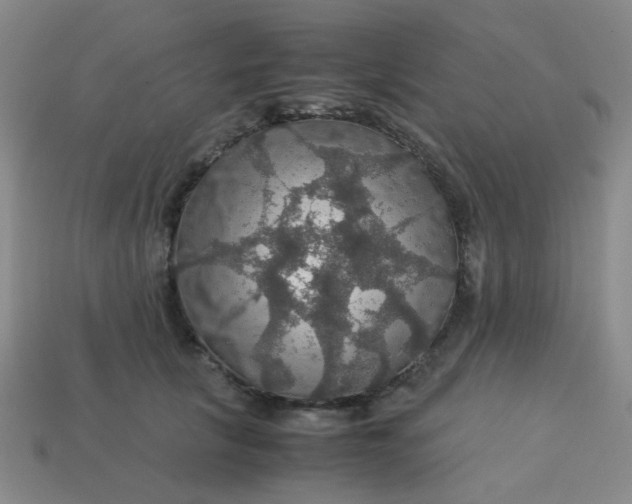 X0000113600657200910091521