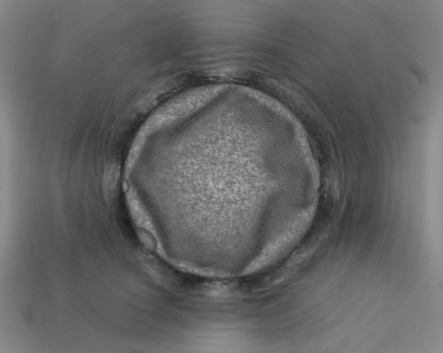 X0000113600660200910091521