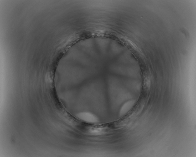 X0000113600661200910091522