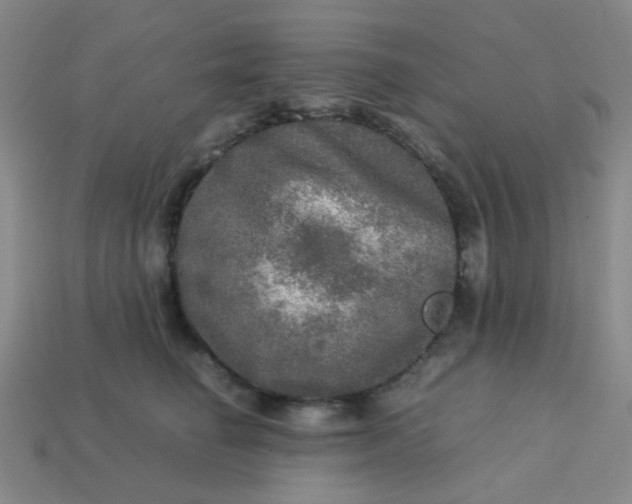 X0000113600662200910091522