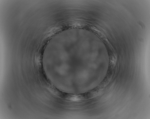 X0000113600663200910091522