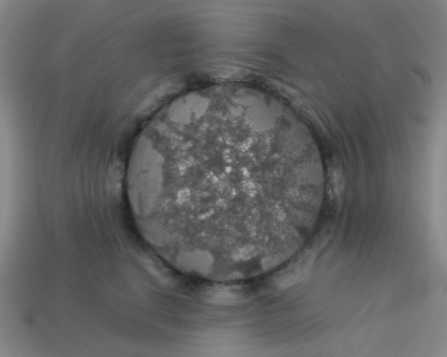 X0000113600664200910091522