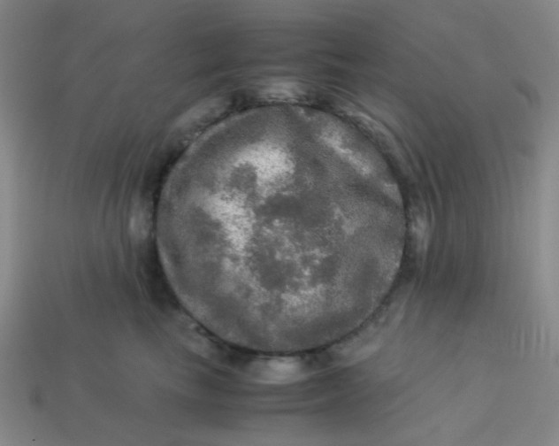 X0000113600665200910091522