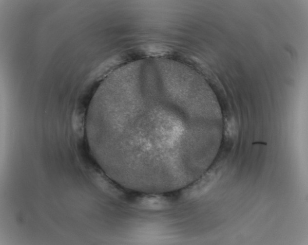 X0000113600666200910091522