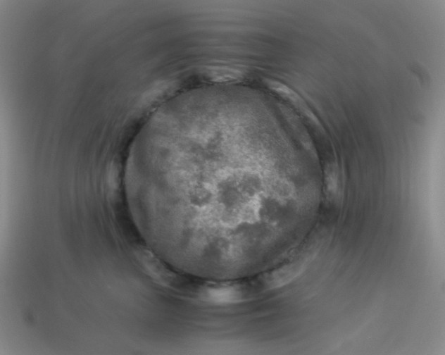 X0000113600667200910091522