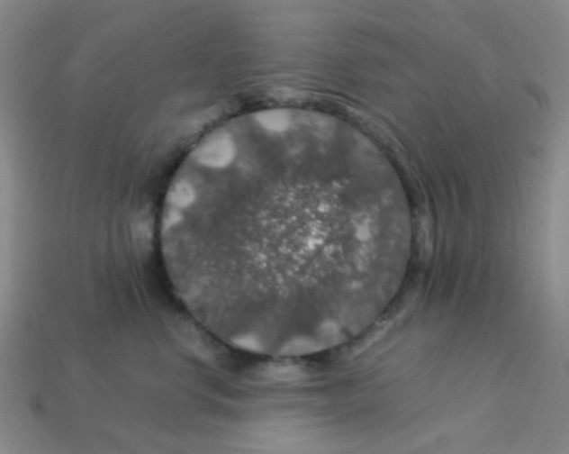 X0000113600668200910091522