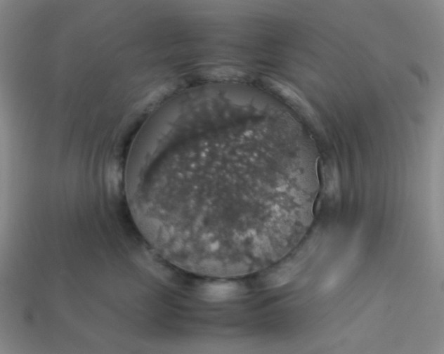 X0000113600669200910091522