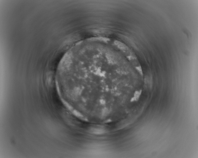 X0000113600671200910091522