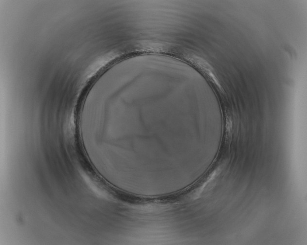 X0000113600674200910091521