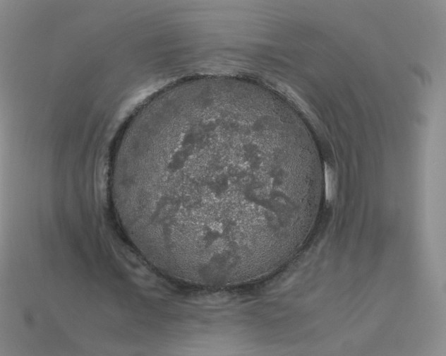 X0000113600675200910091521