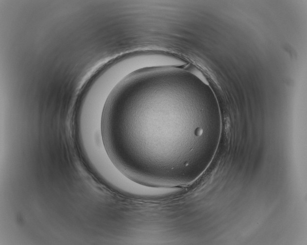 X0000113600676200910091521