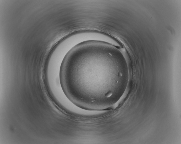 X0000113600677200910091521