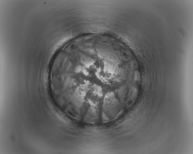 X0000113600679200910091521