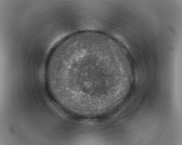 X0000113600680200910091521