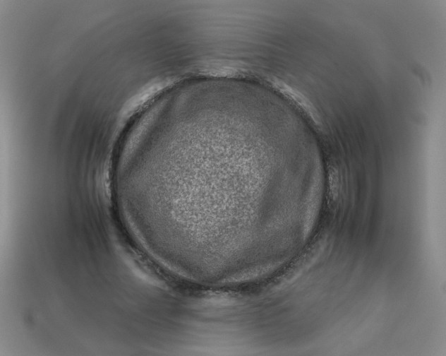 X0000113600682200910091521