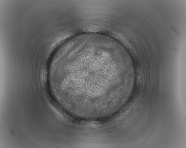 X0000113600683200910091521