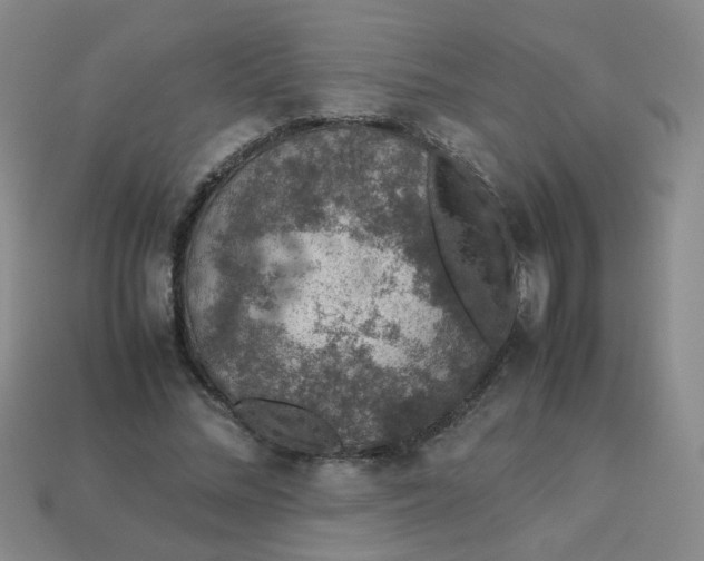 X0000113600684200910091521