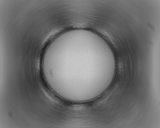 X0000113600686200910091521