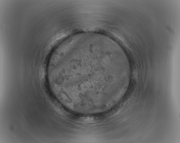 X0000113600687200910091521