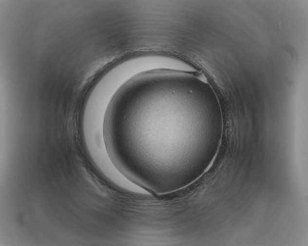 X0000113600688200910091521