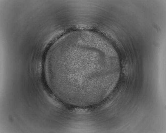 X0000113600690200910091521