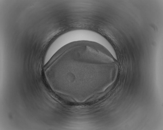 X0000113600692200910091521