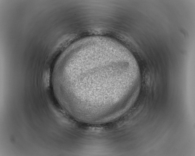 X0000113600694200910091521