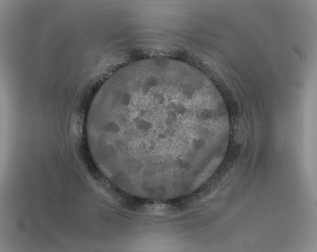 X0000113600695200910091521