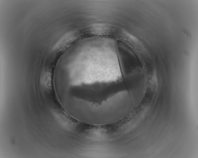 X0000113600696200910091521