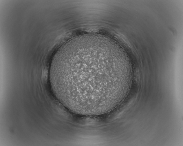 X0000113600697200910091521