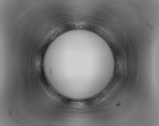 X0000113600698200910091521