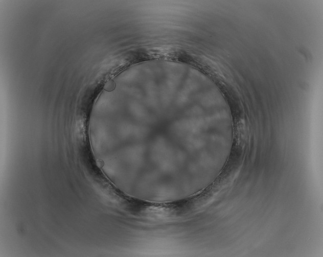 X0000113600699200910091521