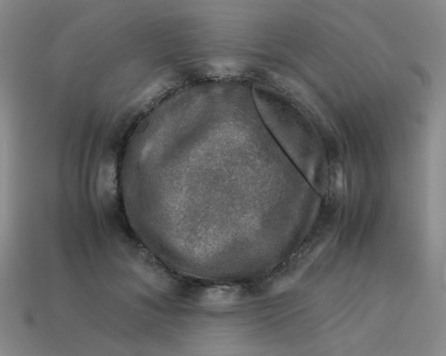 X0000113600700200910091521