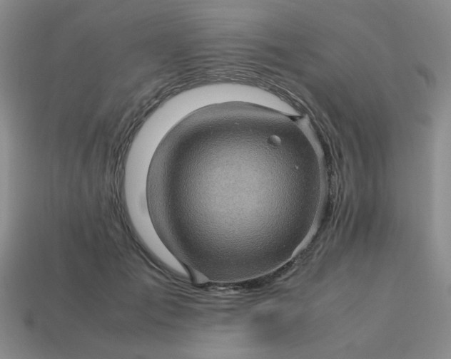 X0000113600701200910091521