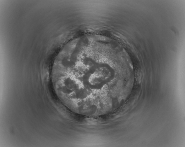 X0000113600703200910091521