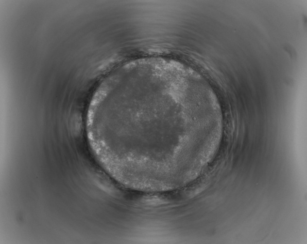 X0000113600704200910091521