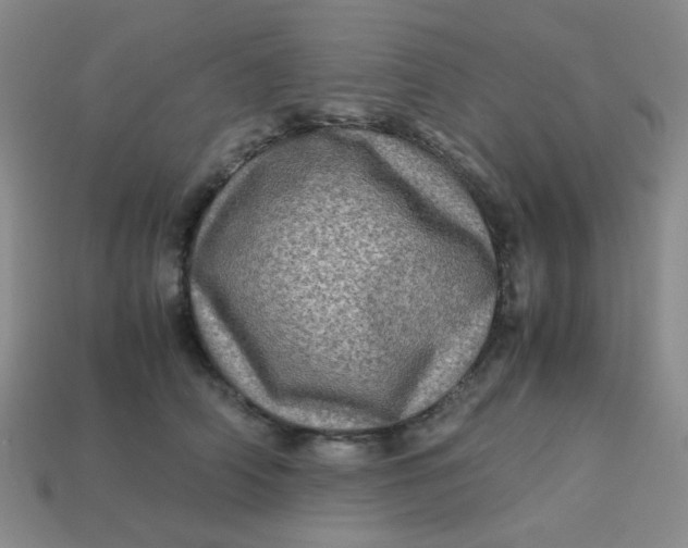 X0000113600706200910091521