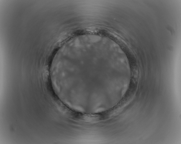 X0000113600707200910091521