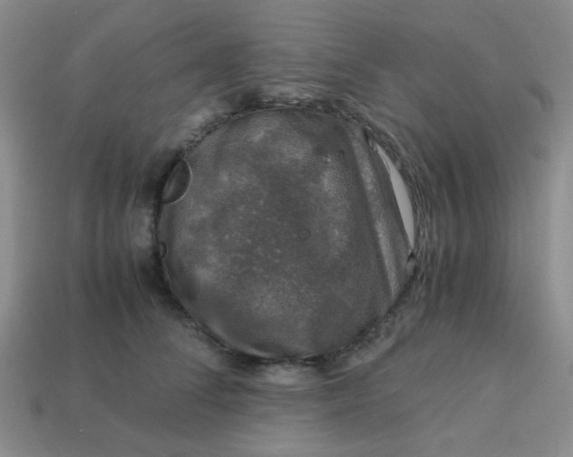 X0000113600708200910091521