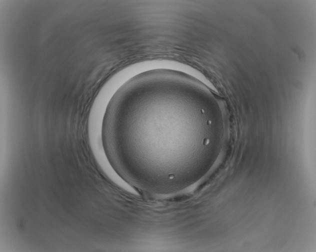 X0000113600709200910091521