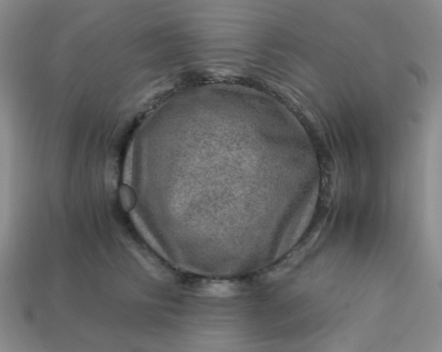 X0000113600710200910091521