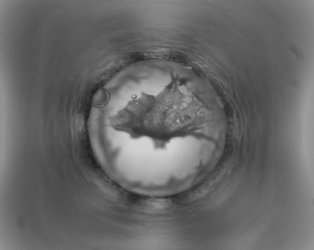 X0000113600711200910091521