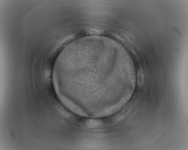 X0000113600714200910091521