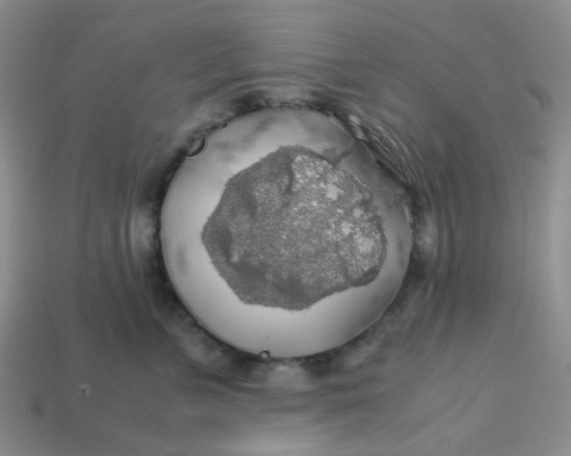 X0000113600715200910091520