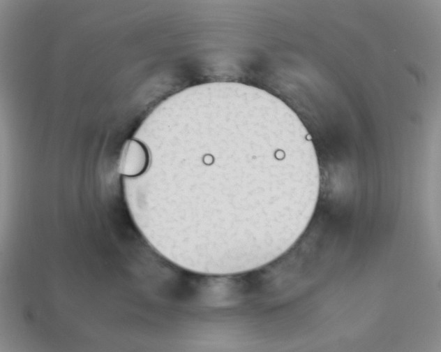 X0000113600717200910091520