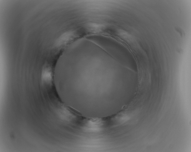 X0000113600720200910091520