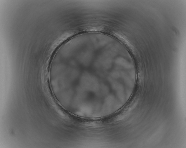 X0000113600721200910091520