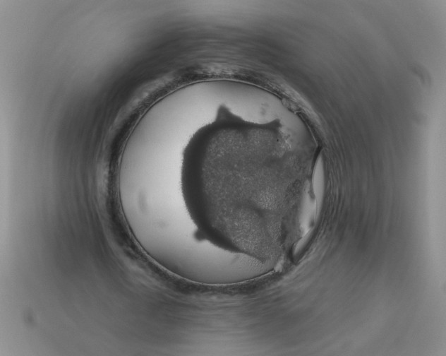 X0000113600722200910091520