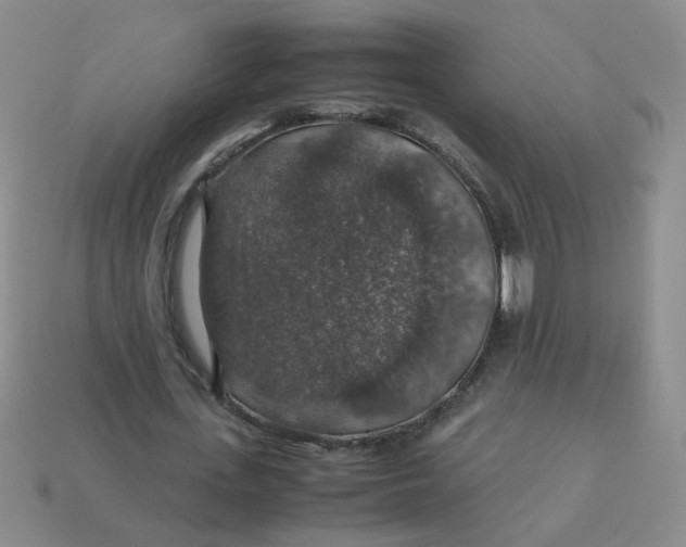 X0000113600723200910091520